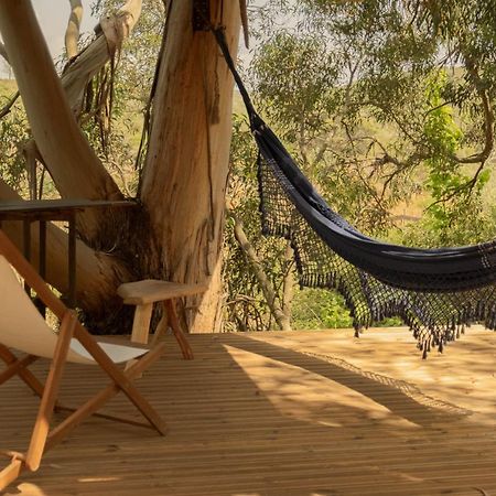 Soul Farm Algarve - Glamping & Farm Houses アルジェズール エクステリア 写真