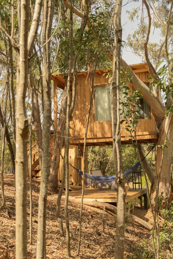 Soul Farm Algarve - Glamping & Farm Houses アルジェズール エクステリア 写真