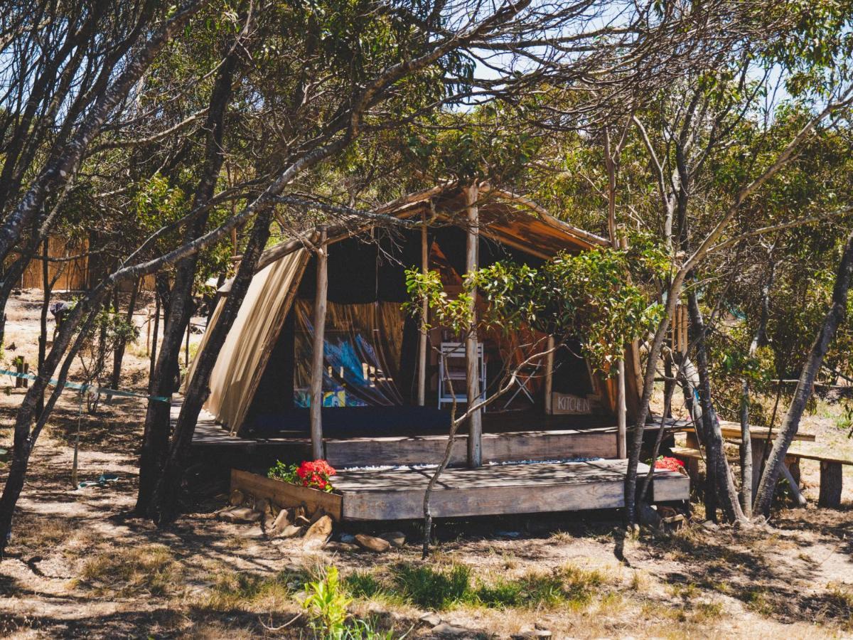 Soul Farm Algarve - Glamping & Farm Houses アルジェズール エクステリア 写真