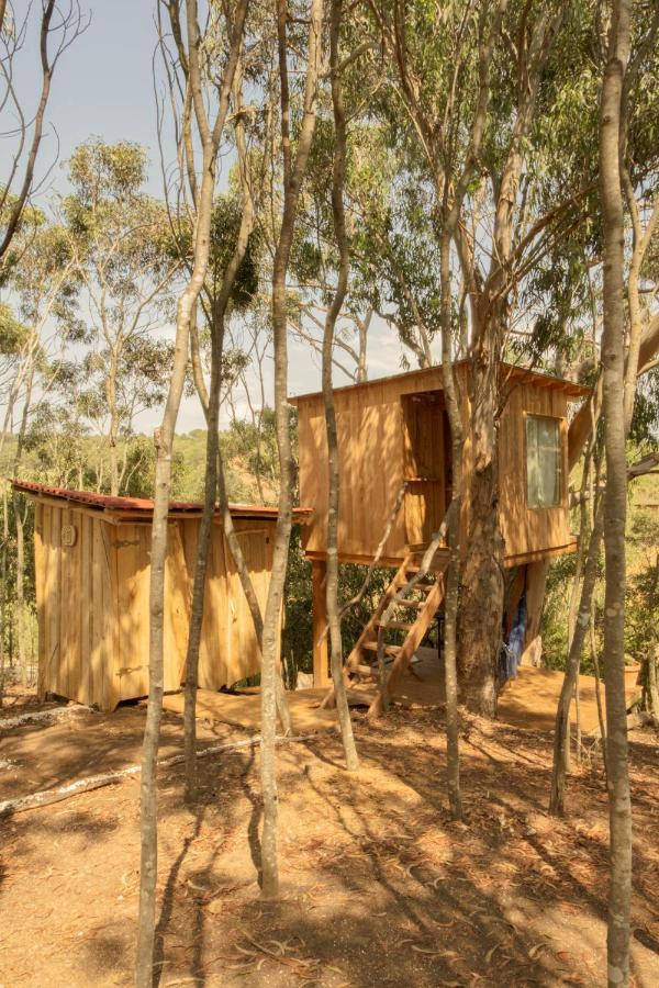 Soul Farm Algarve - Glamping & Farm Houses アルジェズール エクステリア 写真