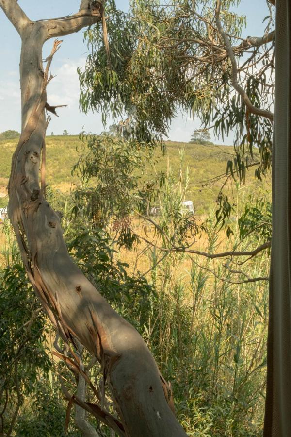 Soul Farm Algarve - Glamping & Farm Houses アルジェズール エクステリア 写真