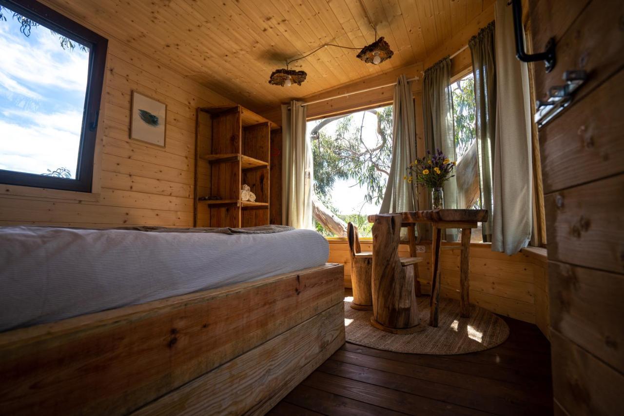 Soul Farm Algarve - Glamping & Farm Houses アルジェズール エクステリア 写真