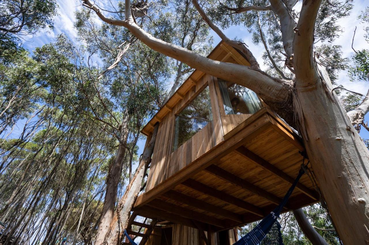 Soul Farm Algarve - Glamping & Farm Houses アルジェズール エクステリア 写真