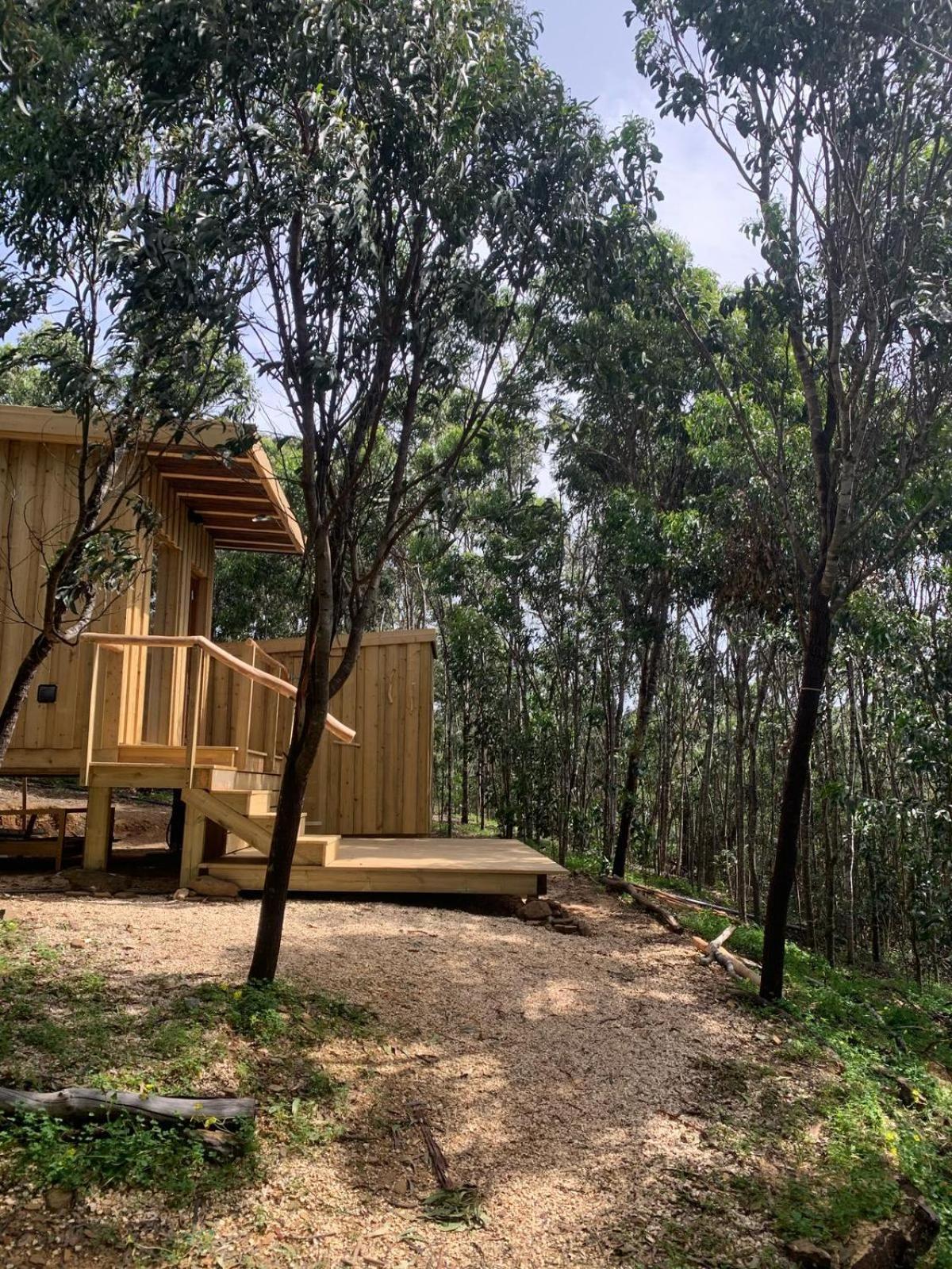 Soul Farm Algarve - Glamping & Farm Houses アルジェズール エクステリア 写真